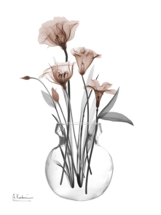 Picture of THUNDERING MOCHA BLOOM 1