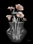 Picture of ENLIGHTENED MOCHA BOUQUET 2 V2