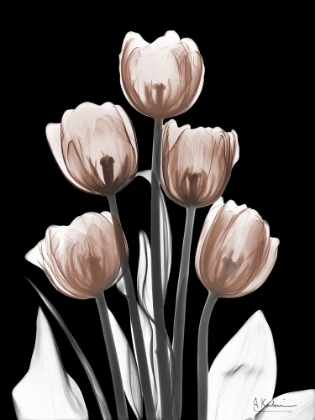 Picture of DELIGHTFUL MOCHA TULIPS 2 V2