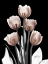 Picture of DELIGHTFUL MOCHA TULIPS 2 V2