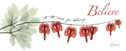 Picture of BLEEDING HEART H64