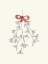 Picture of RED RIBBON MISTLETOE