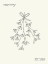 Picture of MERRY XMAS MISTLETOE