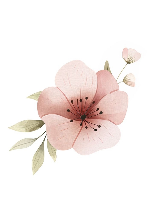 Picture of BLUSH FLORAL 1