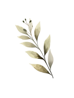 Picture of BLUSH FLORAL 2