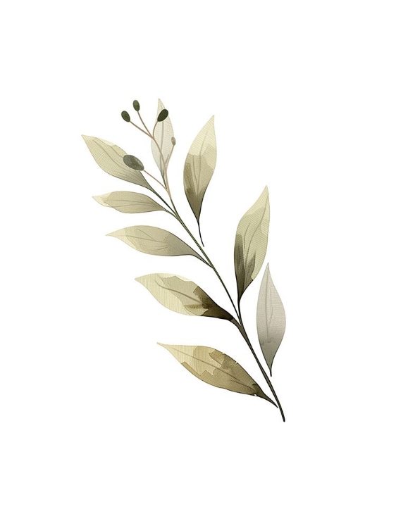 Picture of BLUSH FLORAL 2