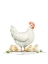 Picture of FARM FRIENDS 6