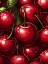Picture of CHERRY 7