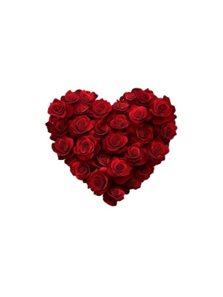 Picture of HEART 1