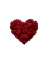 Picture of HEART 1
