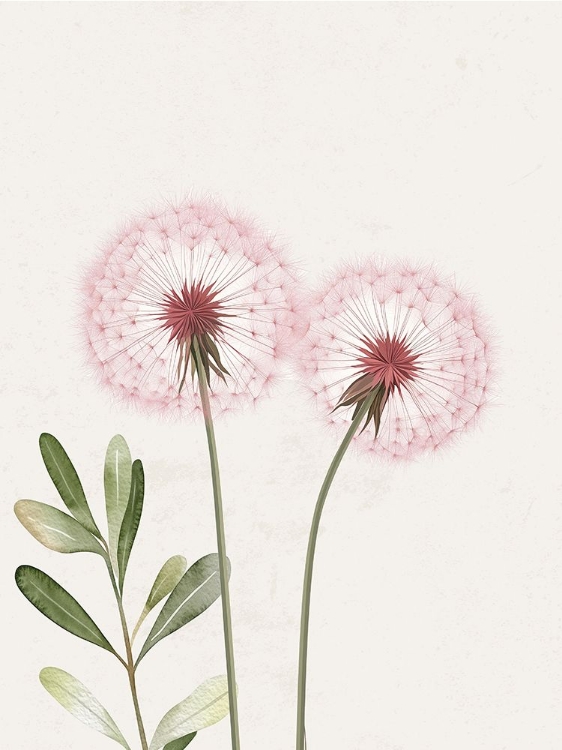 Picture of FAIRY WISHES 1