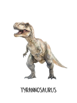 Picture of MEET THE DINOSAURS 3