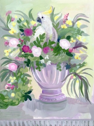Picture of ROCOCCO COCKARTOO