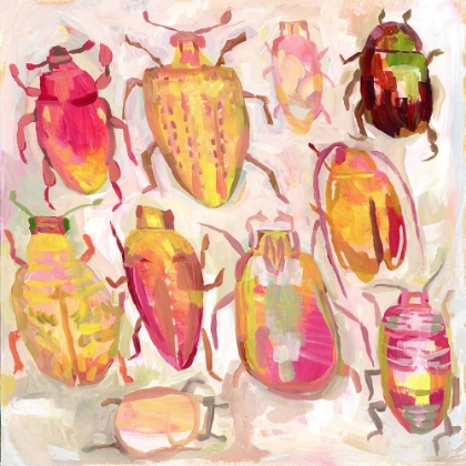 Picture of BUGGY BEAUTIES