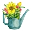 Picture of SUNFLOWER FROLIC 1
