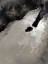 Picture of FALLING