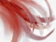 Picture of MOVEMENT IN RED 2 V2