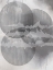 Picture of SOUND WAVES 2