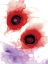 Picture of RINGS OF FIRE ALCOHOL INK PASSION