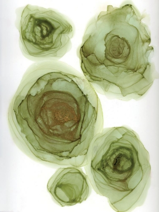 Picture of ETHEREAL BLOOMS