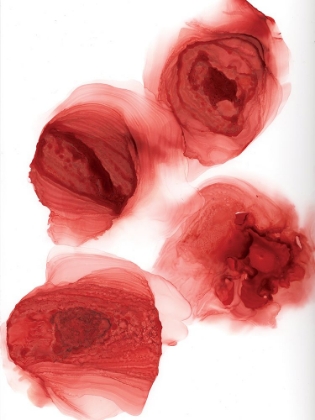 Picture of ROSEATE RIPPLES