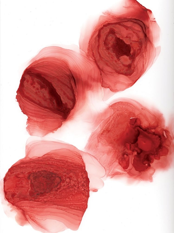 Picture of ROSEATE RIPPLES