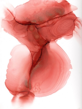 Picture of VERMILION VEIL