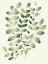 Picture of NEUTRAL WATERCOLOR LEAVES 1