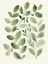 Picture of NEUTRAL WATERCOLOR LEAVES 2
