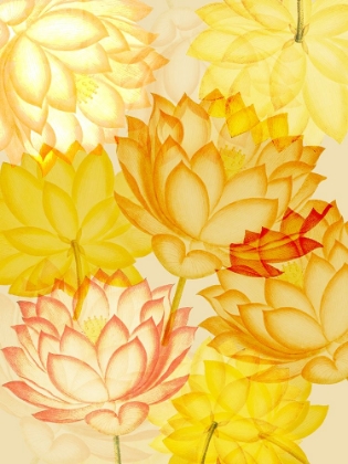 Picture of SUNSHINE FLOWERS 1