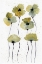 Picture of TWILIGHT BLOSSOMS 1