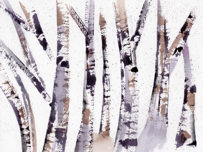 Picture of LAVENDER BIRCH TREES