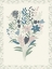 Picture of BOTANICAL BLISS BORDER 2