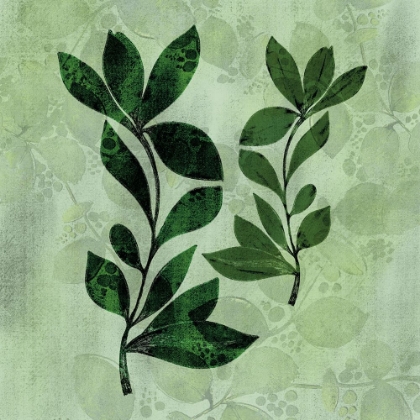 Picture of NATURAL GREENS 1