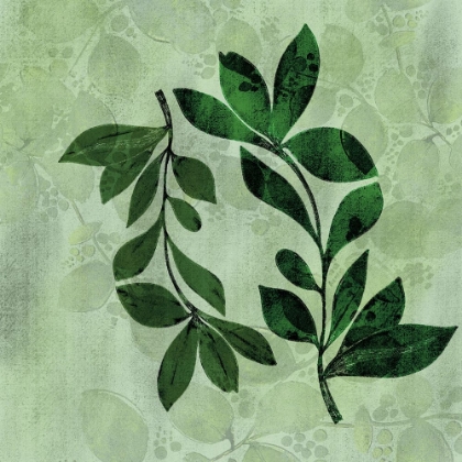 Picture of NATURAL GREENS 2