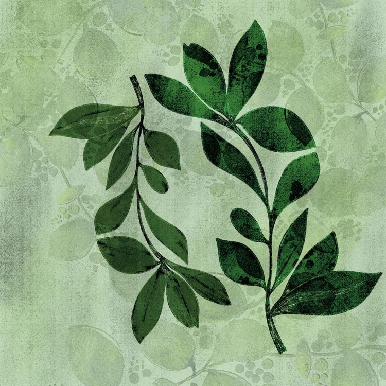 Picture of NATURAL GREENS 2