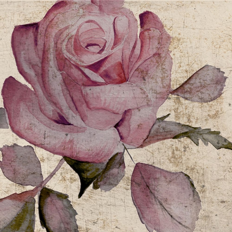 Picture of WATERCOLOR HANDPAINTED ROSE 1