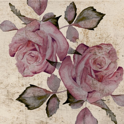 Picture of WATERCOLOR HANDPAINTED ROSE 2