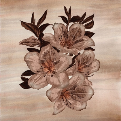 Picture of TIMELESS BLOSSOMS 1