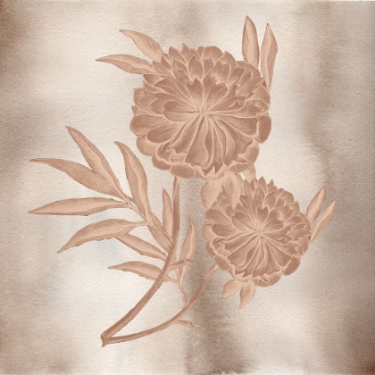 Picture of VINTAGE FLOWERS 1