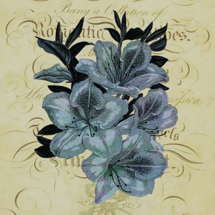 Picture of COTILLION FLOWERS 1