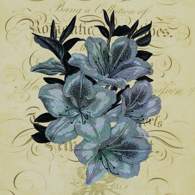 Picture of COTILLION FLOWERS 1