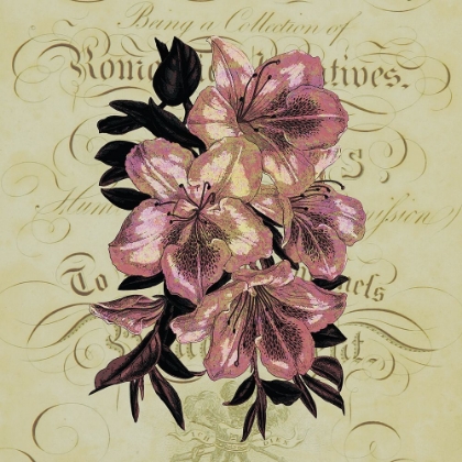 Picture of COTILLION FLOWERS 2