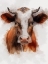 Picture of DA MOO