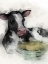 Picture of HAY TO THE MOO