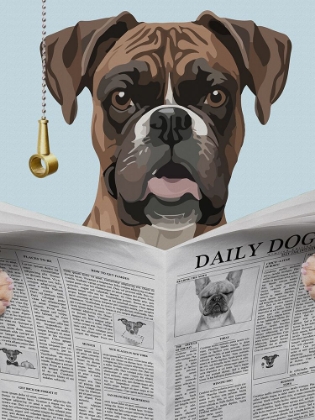 Picture of BOXER NEWS
