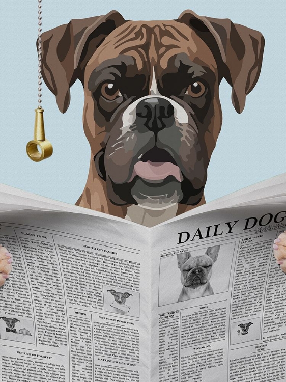 Picture of BOXER NEWS
