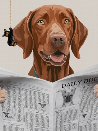 Picture of DAILY HOUND