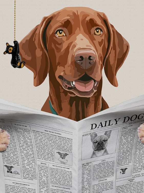 Picture of DAILY HOUND