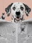 Picture of DALMATIAN DAILY
